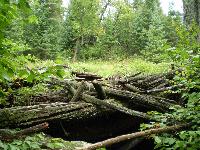 Remains of wooden log chute at The Gorge on the Drag River.